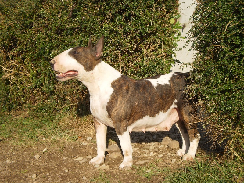 Vassia de la Rania