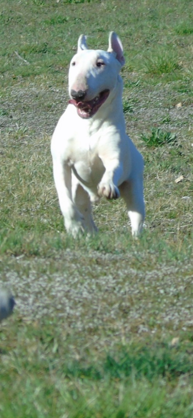 Trust of the little troublemaker